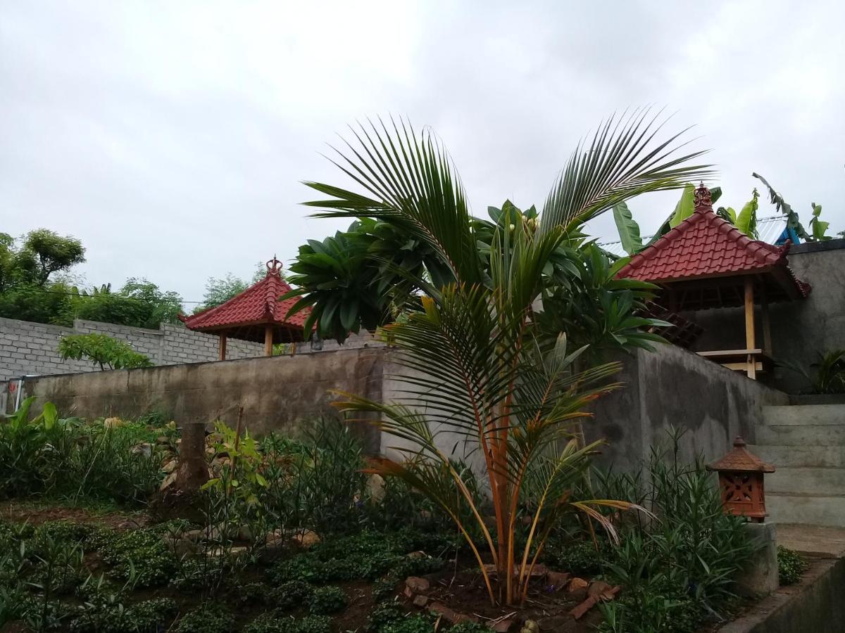 Eliska Sumberkima Pemuteran Exterior foto